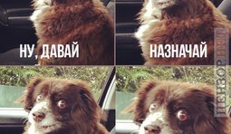 Что тут думать?