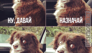 Что тут думать?