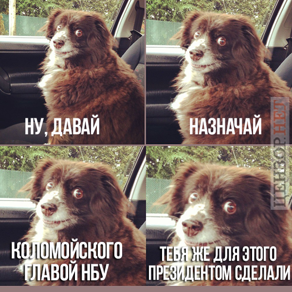 Что тут думать?