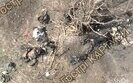 War