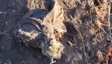 голдова окупанта валяється на землі