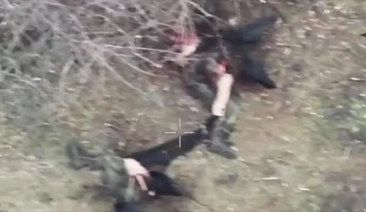 Flock of crows pecks at severed legs of Russian occupier. VIDEO 18+