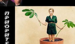 Приоритет: посадить Юлю