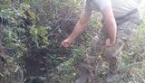 с артемовск тайник оружием