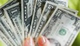 В киевских обменках доллар с пятницы подорожал почти на 15 копеек