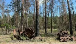 Війна знищила майже третину лісів нацпарку "Святі Гори" на Донеччині, - ОВА. ФОТОрепортаж
