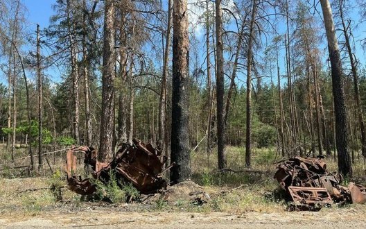 Війна знищила майже третину лісів нацпарку «Святі Гори» на Донеччині, - ОВА. ФОТОрепортаж