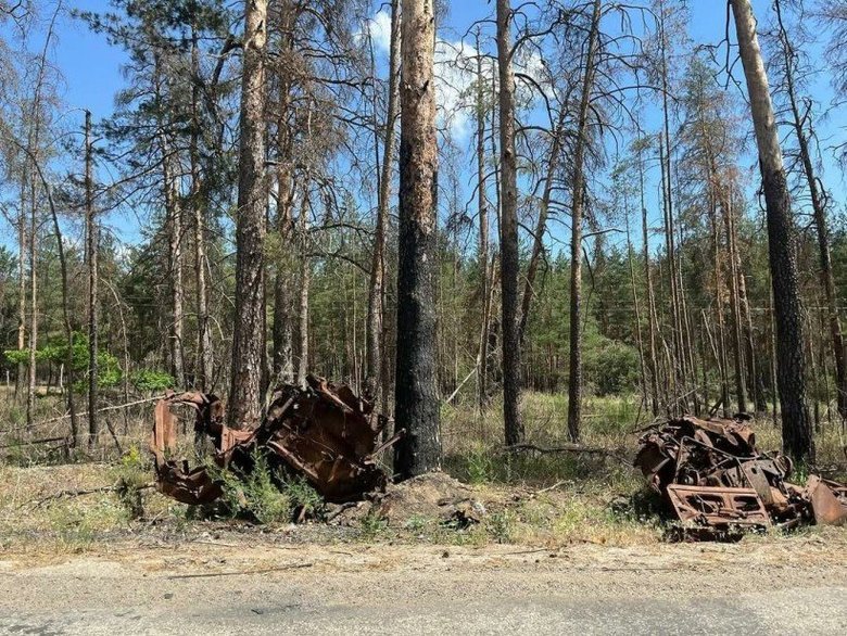 Через війну майже 30% лісів нацпарку "Святі Гори" втрачено
