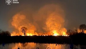 Пожежа в екопарку Осокорки: В поліцію подали заяву про злочин, станом на ранок кримінального провадження розпочато не було