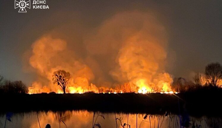 Пожежа в екопарку Осокорки: В поліцію подали заяву про злочин, станом на ранок кримінального провадження розпочато не було