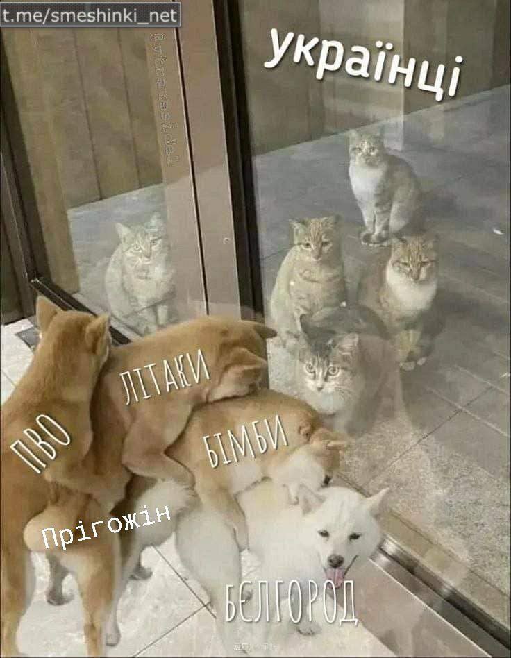 Минулі вихідні