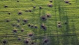 Прямі збитки українського агросектору через російську агресію перевищили $11 мільярдів, ‒ Bloomberg