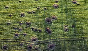Прямі збитки українського агросектору через російську агресію перевищили $11 мільярдів, ‒ Bloomberg