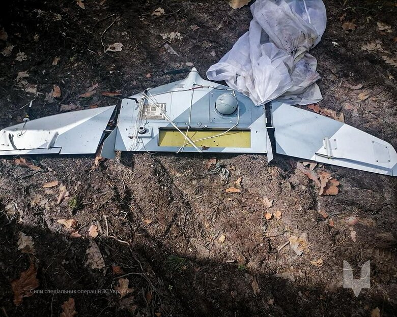 ССО приземлили ворожий БПЛА на Чернігівщині