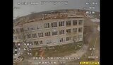шершні