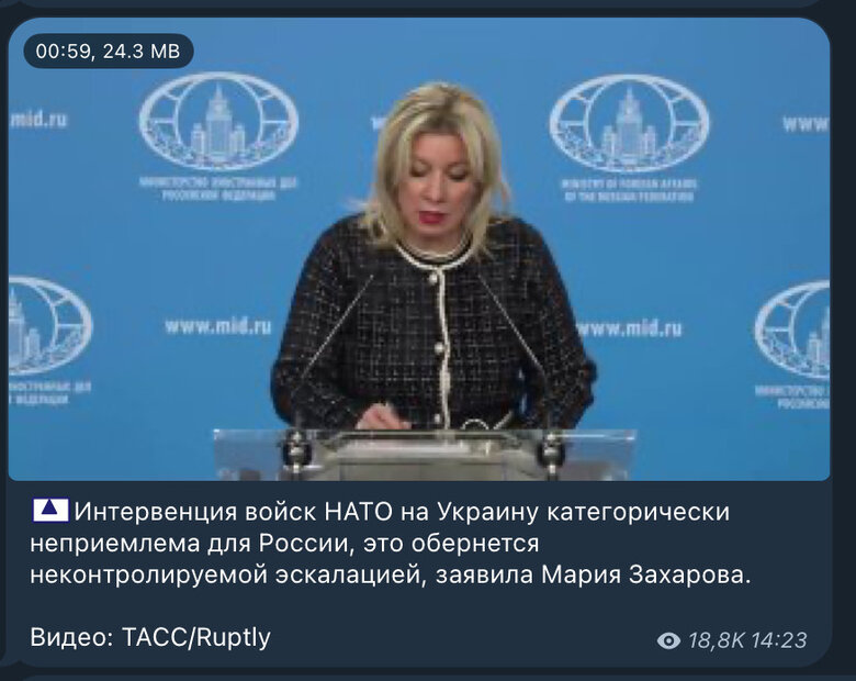 Миротворці в Україні: Захарова заявила, що це неприйнятно для Росії