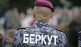 беркут