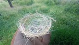 Bird nests made from FPV drone fiber-optic cables found