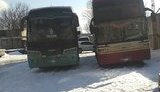 СБУ блокировала нелегальные пассажироперевозки из ОРЛО через Россию. ФОТО