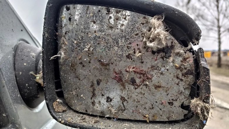 Різня в Бучі: машину прошило кулями, ніби вона паперова, жінці відірвало голову 02