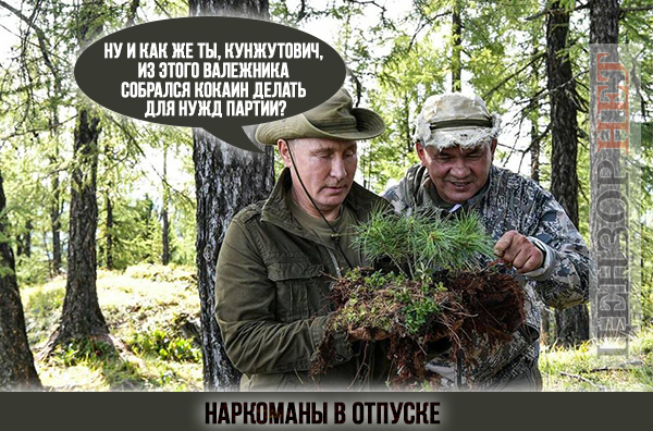 Наркоманы в отпуске