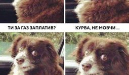 Мучительный вопрос