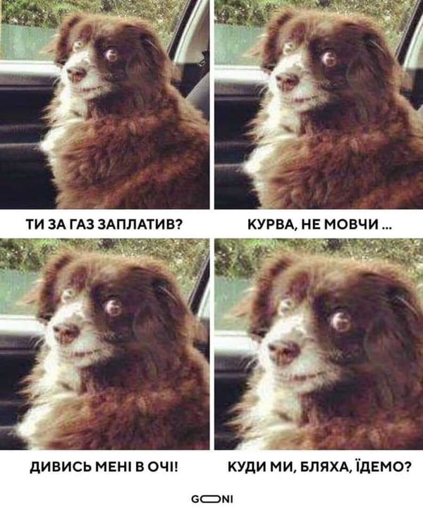 Прощай, Шарик... Пришли из облгаза! Мудрый совет Слуги народа в ФОТОжабах 03