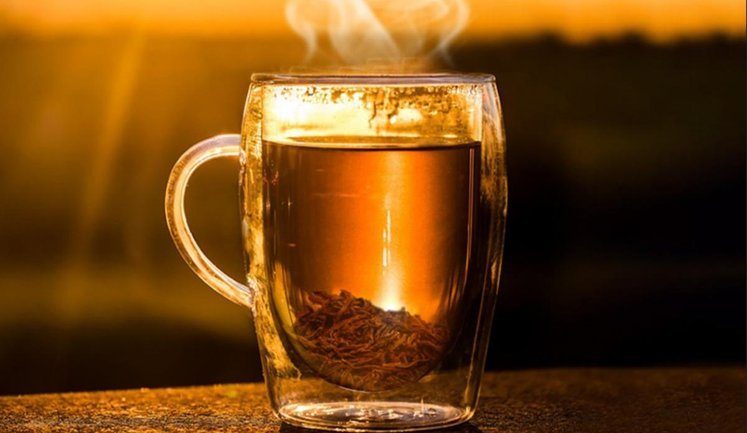 Виробник чаю "Трипільське Сонце" вперше з початку великої війни отримав понад 33 мільйони прибутку