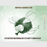 Коротко о выборах