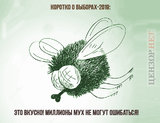 Коротко о выборах