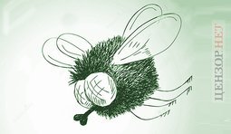 Коротко о выборах