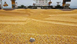 Логістичні проблеми: в українських портах виникли черги через активний експорт кукурудзи