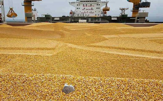 Логістичні проблеми: в українських портах виникли черги через активний експорт кукурудзи
