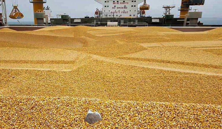 Логістичні проблеми: в українських портах виникли черги через активний експорт кукурудзи