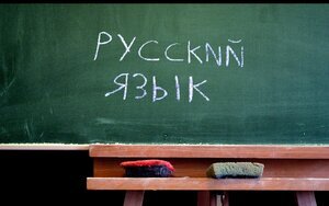 язык,русский