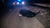 Водитель Renault насмерть сбил парня на переходе в Скибине под Киевом и пытался скрыться. ВИДЕО+ФОТОрепортаж