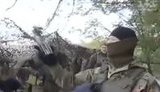 боец