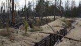 фортифікації
