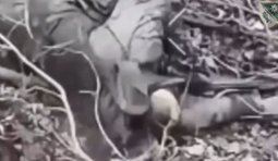 уничтоженный в ближнем бою россиянин