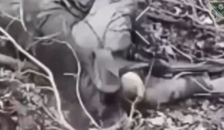 Пуля выносит мозги российскому штурмовику на Покровском направлении. ВИДЕО