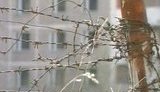 Добро пожаловать в Чернобыль: Министр Балога разрешил зарабатывать в зоне отчуждения. ВИДЕО.