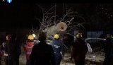 Дерево впало на автомобіль у Києві - водій загинув. ВIДЕО