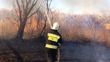 Подружжя пенсіонерів загинуло на Житомирщині через пожежу, викликану спалюванням сухої трави, - ДСНС