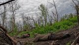 полонені