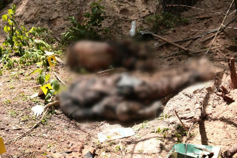 Тела семерых гражданских, замученных российскими военными, обнаружены на Киевщине, - Нацполиция 02