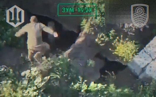 Пілоти 59-ї бригади «Степові хижаки» за три тижні ліквідували 211 окупантів на Покровському напрямку. ВІДЕО