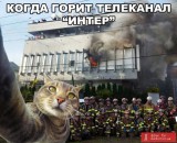 Селфи с пожарниками