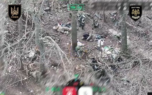 Дронарі 1-го ОШП показали десяток ліквідованих окупантів внаслідок невдалого штурму під Гуляйполем. ВIДЕО