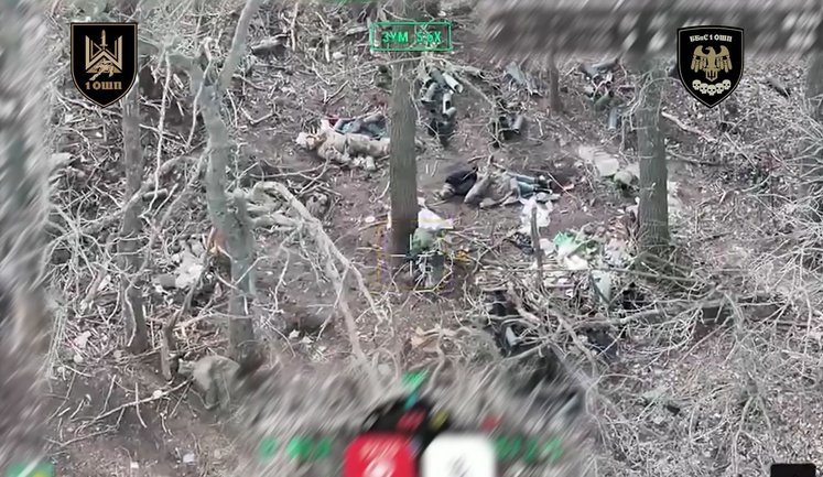 Дронарі 1-го ОШП показали десяток ліквідованих окупантів внаслідок невдалого штурму під Гуляйполем. ВIДЕО