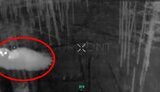 Owl shoots down a Russian drone